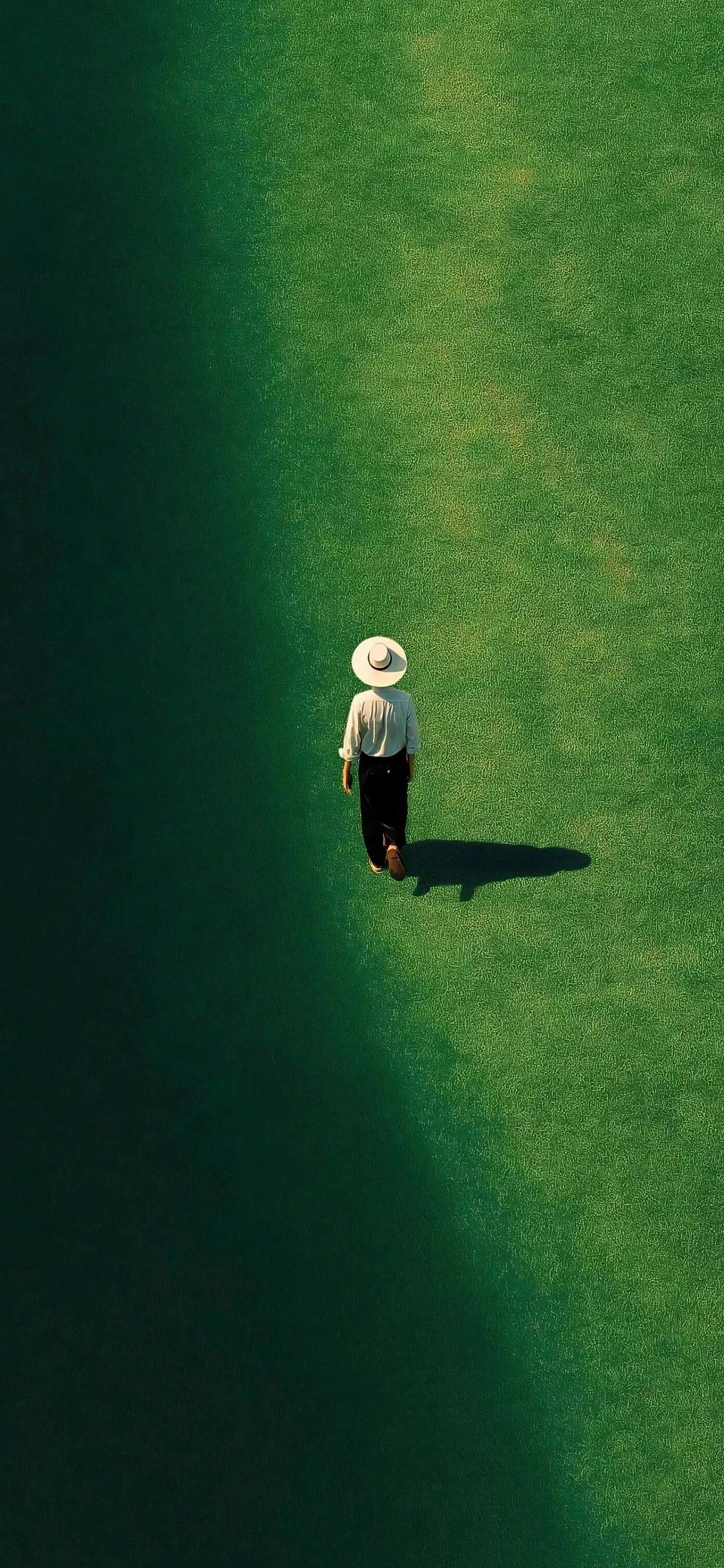 𝓢𝓱𝓪𝓻𝓮 ｜ 超清8k无水印壁纸｜氛围感  专栏 · 精选壁纸分享