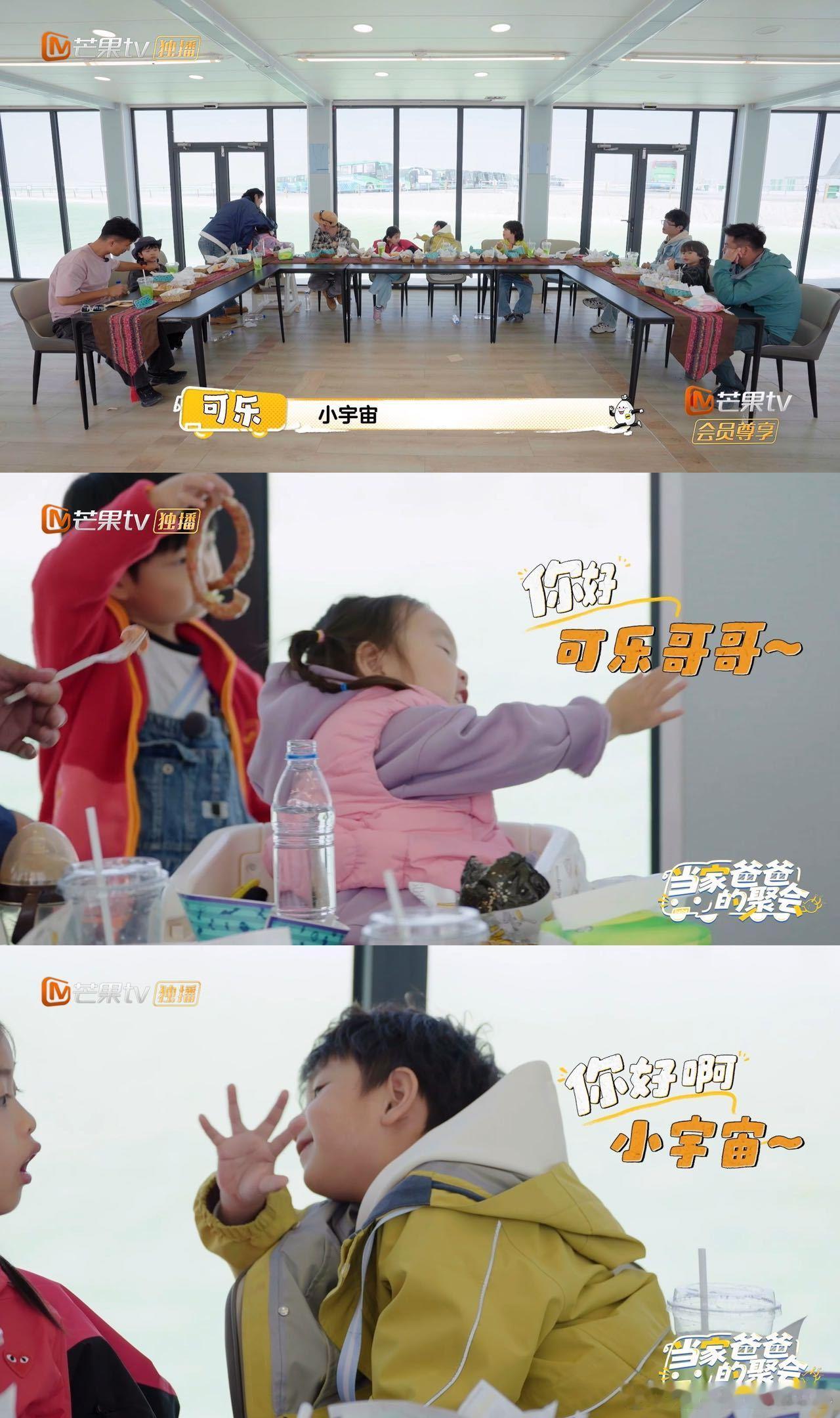 小宇宙随机萌晕一个小可乐真没想到可乐是个隐藏的萌娃收割机！作为妥妥的i人，居然会