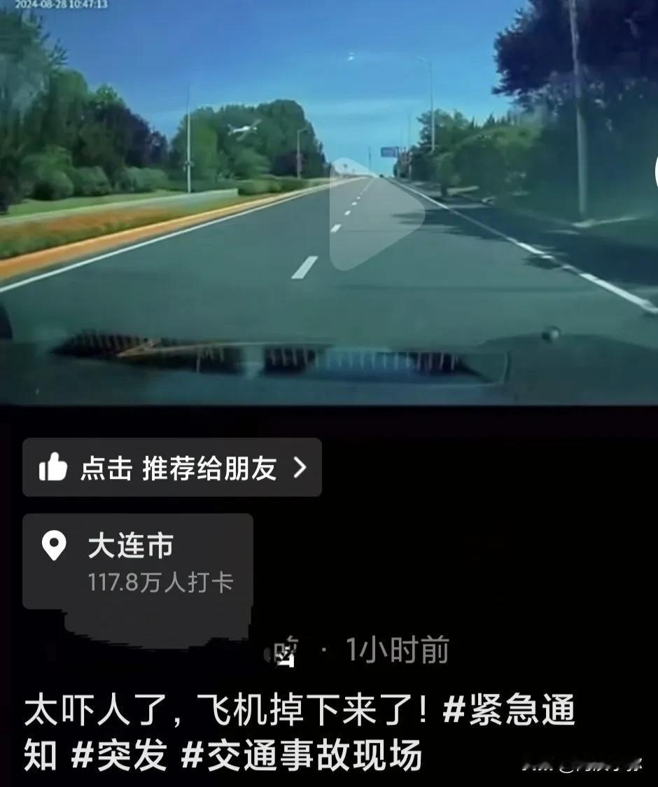大连金石滩突发小型飞机紧急迫降事件：安全问题引关注

刷抖音据网友通过行车记录仪