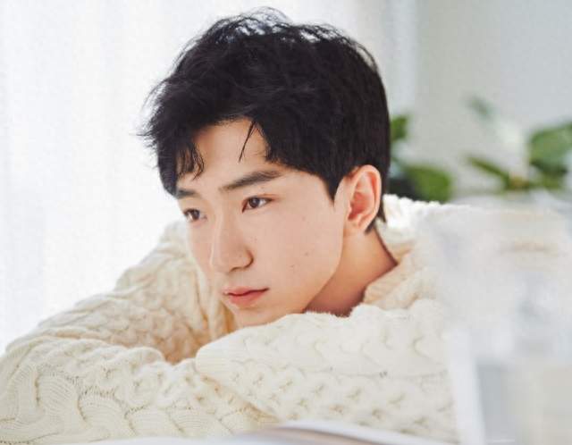 二搭高叶，演完《狂飙》演《蒸蒸日上》，他都是全剧最大意难平