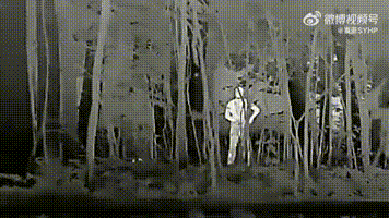 俄军的隐身战术斗篷，可以防止俄军士兵在夜间被热成像仪发现。对此我想说，这个我军也