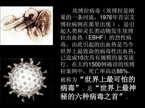 埃博拉最吓人的地方，不只是致死率高，而是它每隔几年就像“幽灵”一样冒出来，带走一