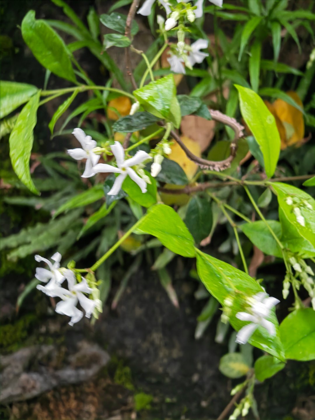 早上好，星期天有没有和我一样已起床去搬砖的朋友们每天早起打卡