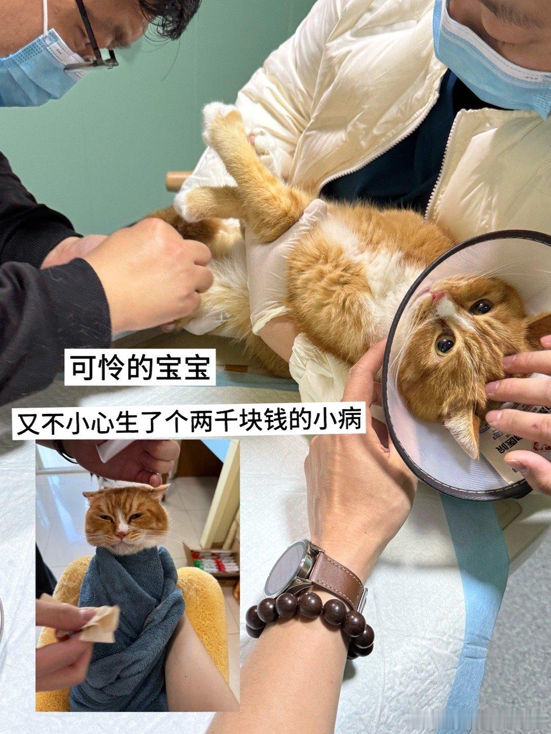 不算最近的最近日常