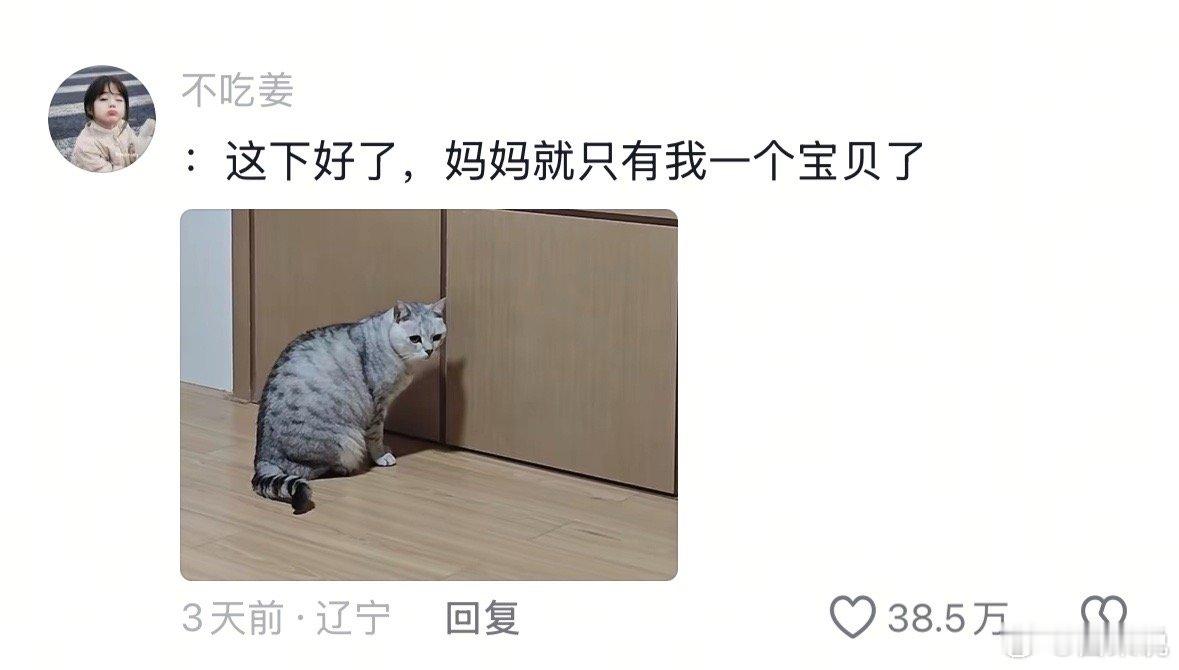 小猫咪能有多少心眼子 他回头那瞬间似乎想好了所有出路！ 