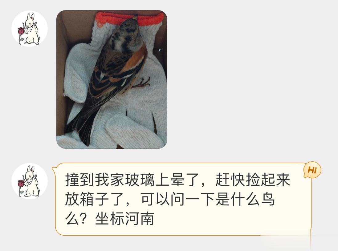 填空题环节～（ ）（ ）安知鸿鹄之志哉！ ​​​