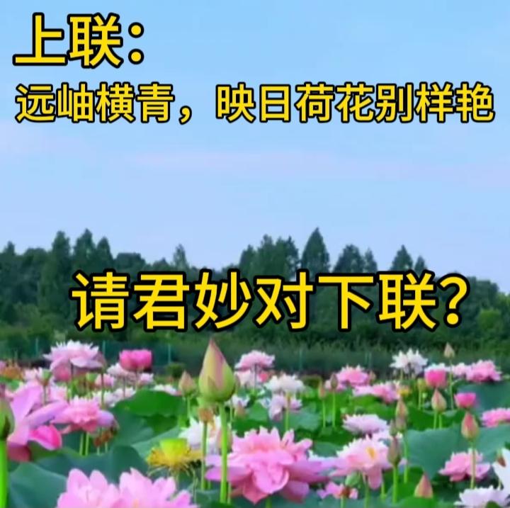 下联：月移花下影
横批：荷塘月色