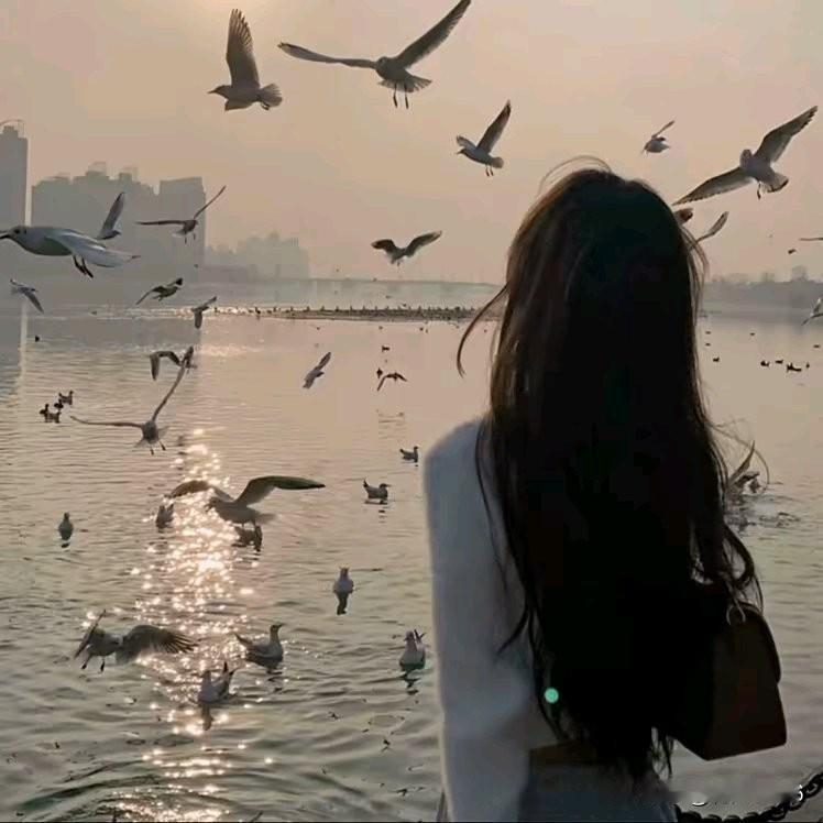 《感谢你曾来过》
感谢你曾来过
你的脚步从我的四季踏过
连那日子都染上了彩虹的颜