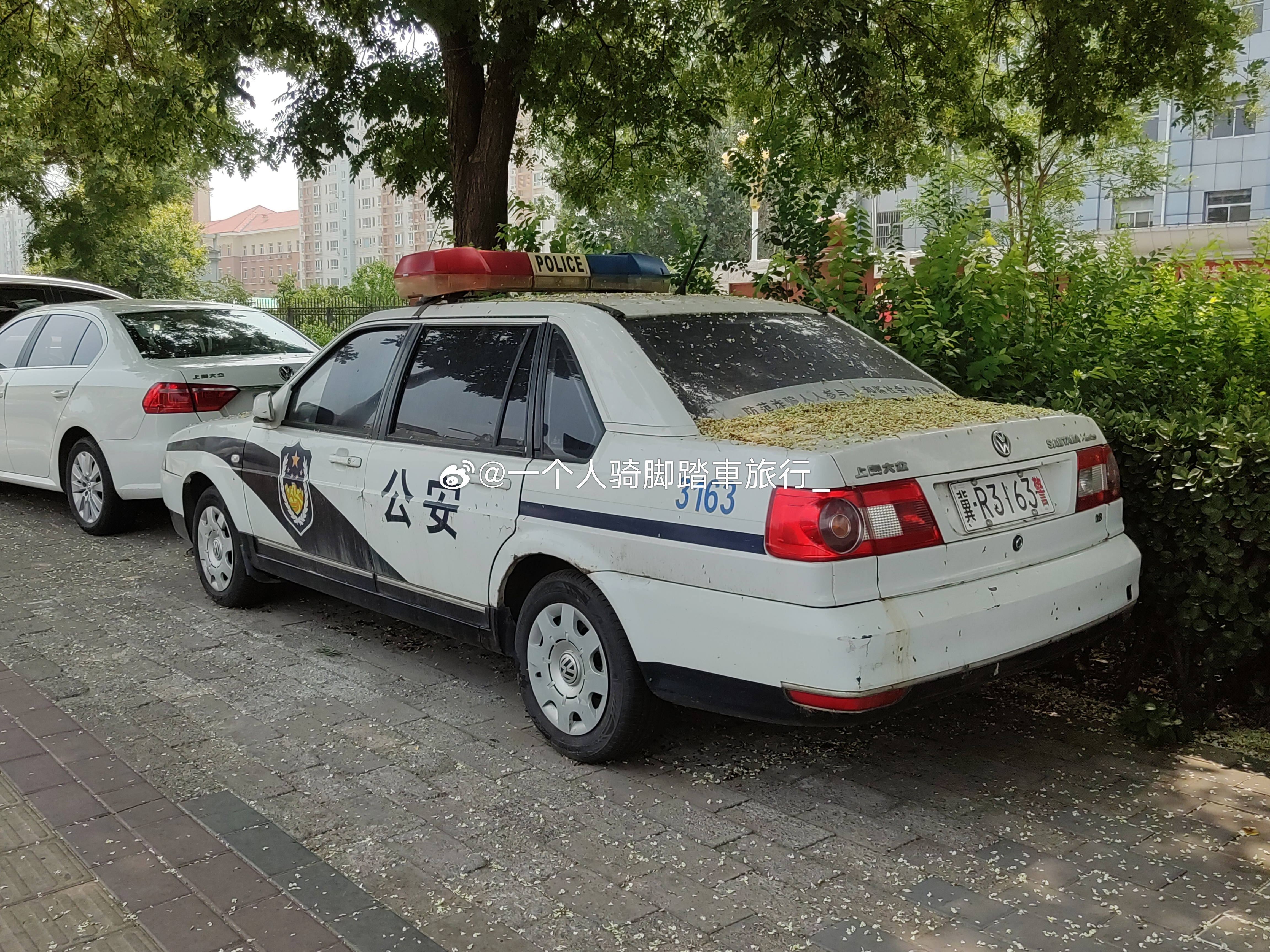 桑塔纳志俊 廊坊·廊坊市体育馆