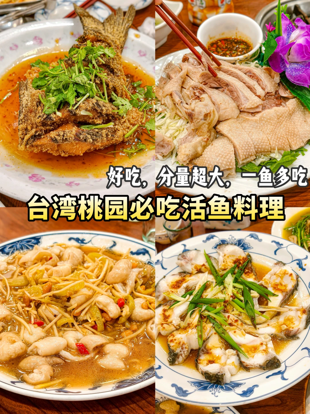 来桃园赶飞机，也不能错过的活鱼料理🤤🤤