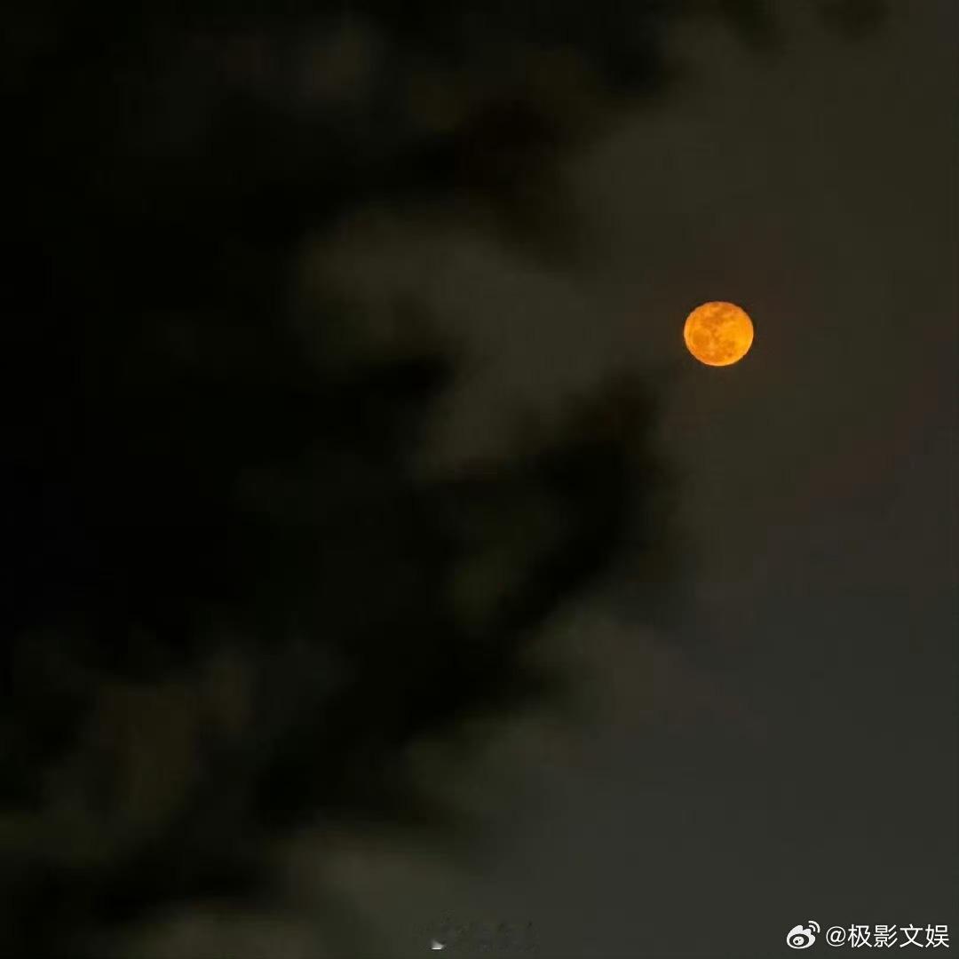 肖战五一明信片肖战镜头下的青岛是肖战的五一明信片，太想你 