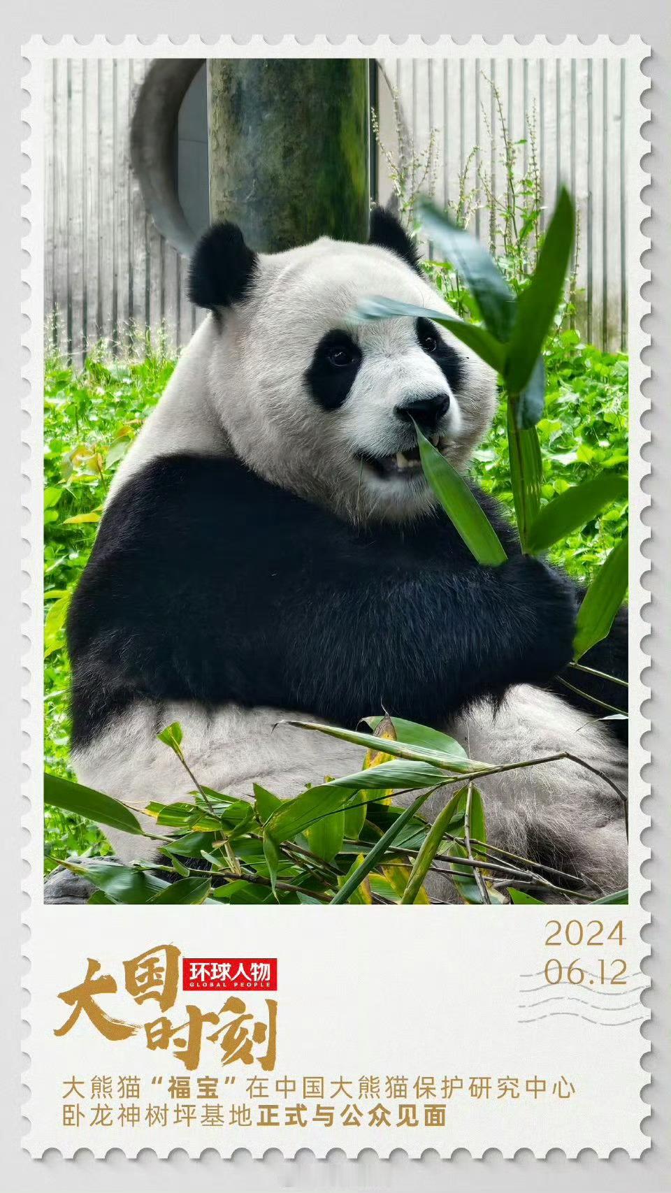 这是独属于中国人的浪漫 中国人特有的浪漫在于用诗词歌赋传递深情，以书画茶艺诠释意