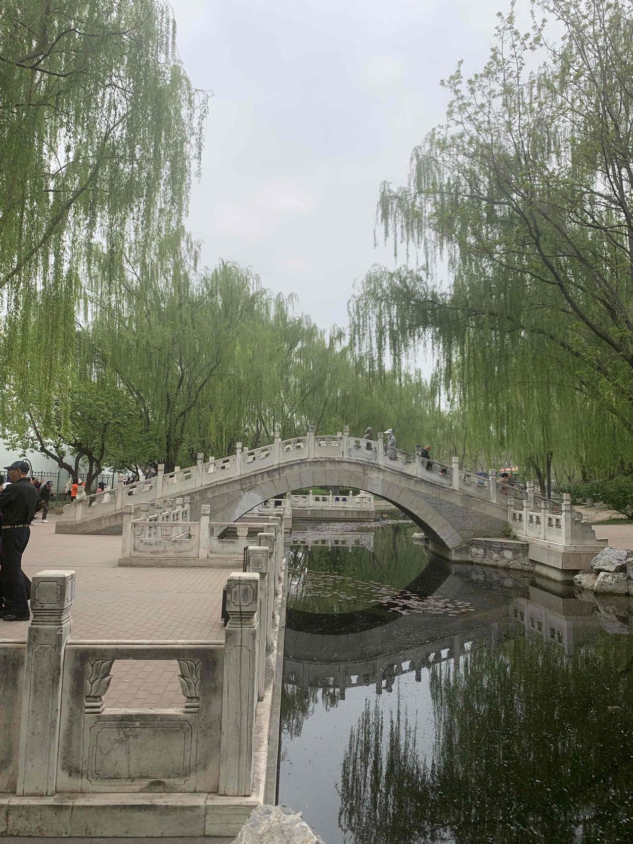 今天在公园看两个老大爷下象棋，围观的还有不少人。有一个看棋的大爷比下棋的还着急，