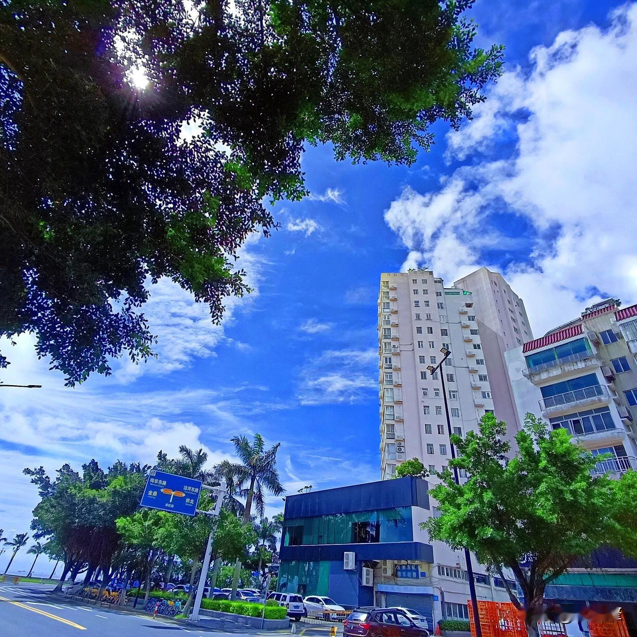 早上好，珠海市路边随拍风景。