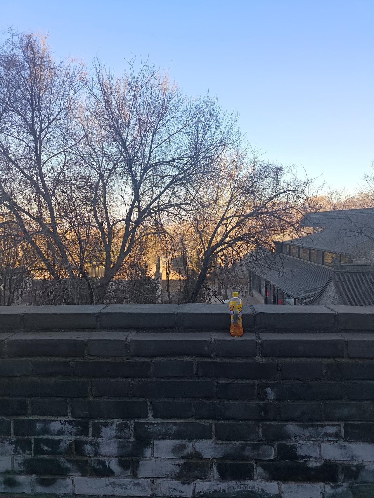 春日生活打卡季 春天真是个神奇的季节，它悄无声息地就改变了世界。玉兰枝头绽放出第