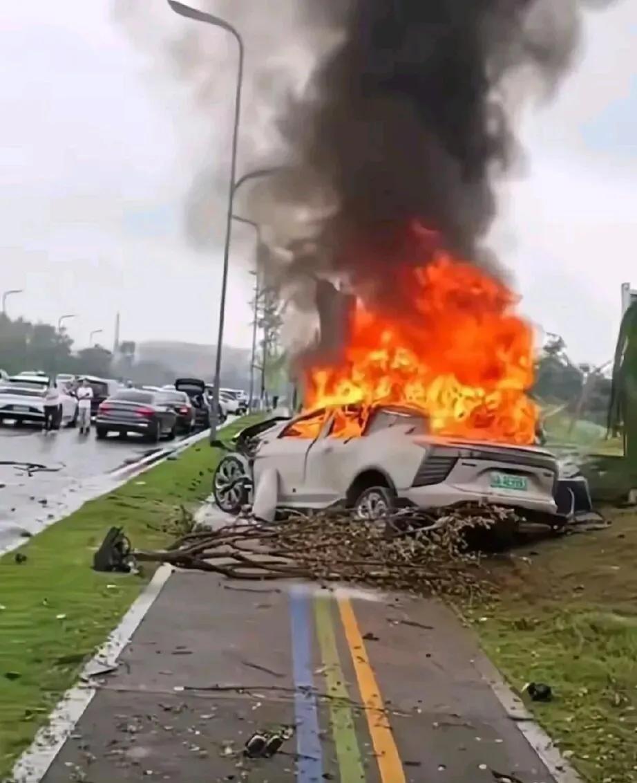 人生赢家的双流女车主却输给了电车
	
昨天，一个朋友普及下电车及电池，重点就说了