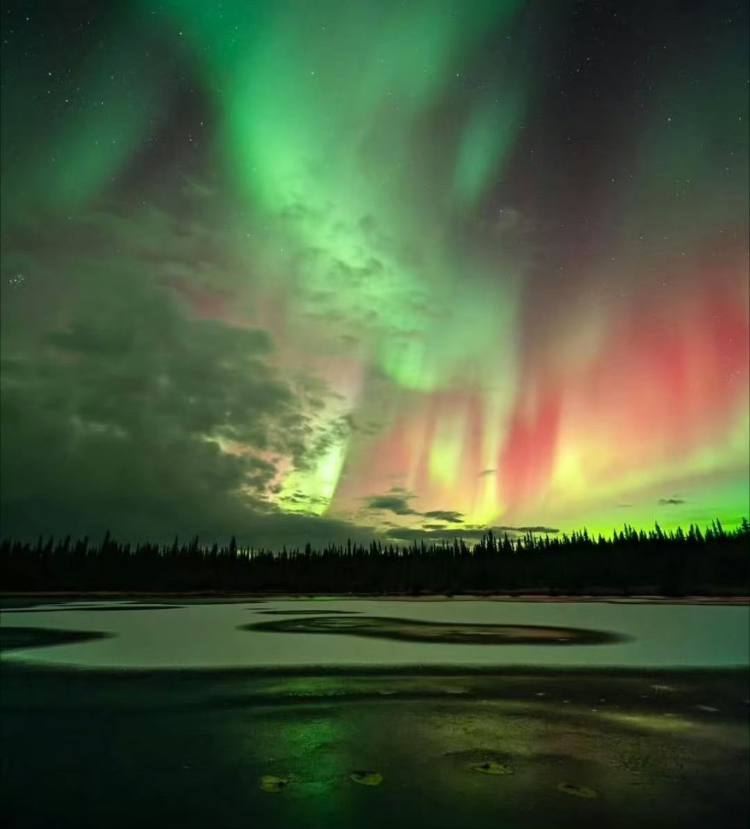 春节前夕飞猪极光团搜索量暴涨 春节有九天长假，可以让人们选择远行，极光地区的风景