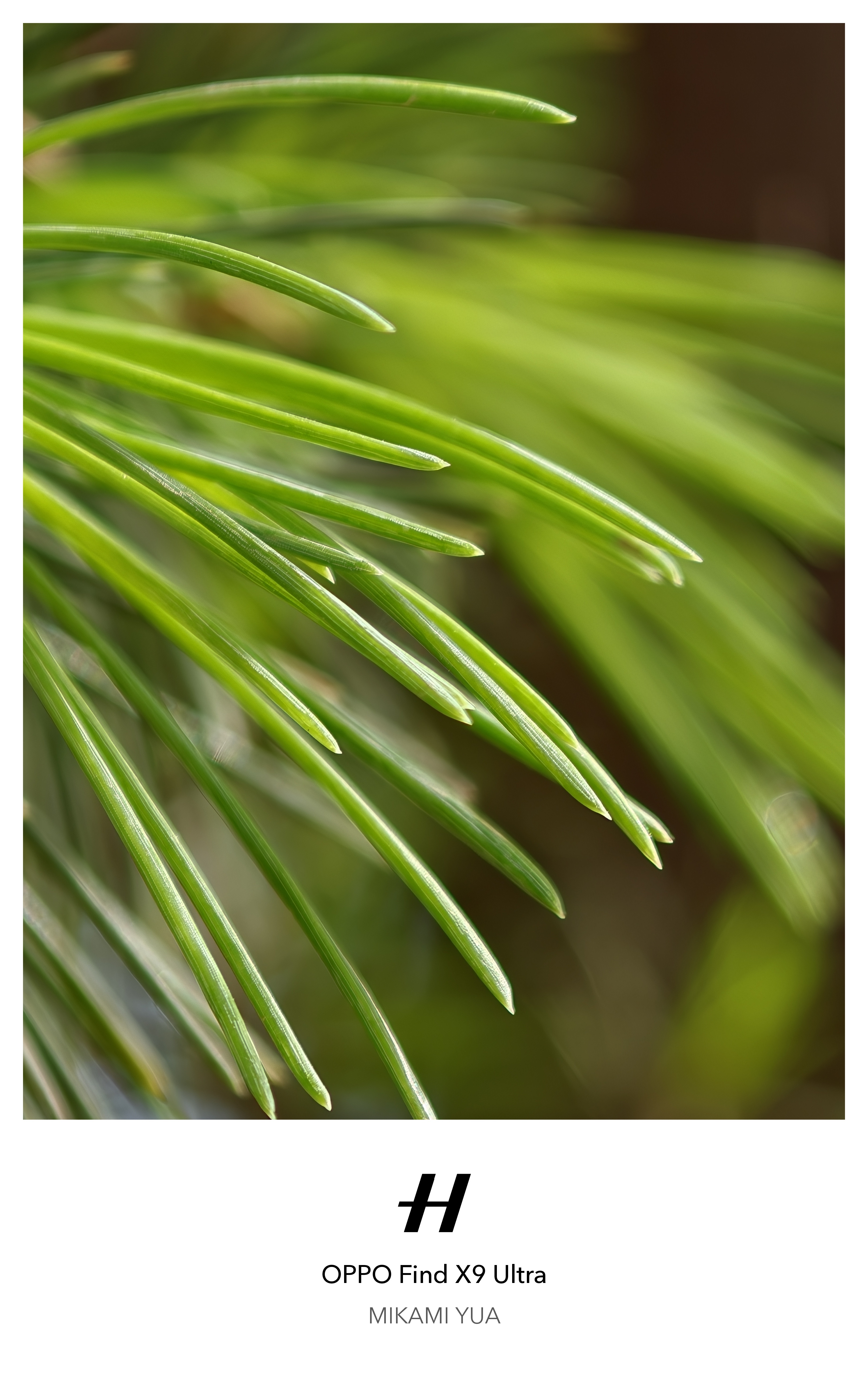 众所周知，哥不会拍照。这是我刚刚用 OPPO Find X9 Ultra 随手瞎