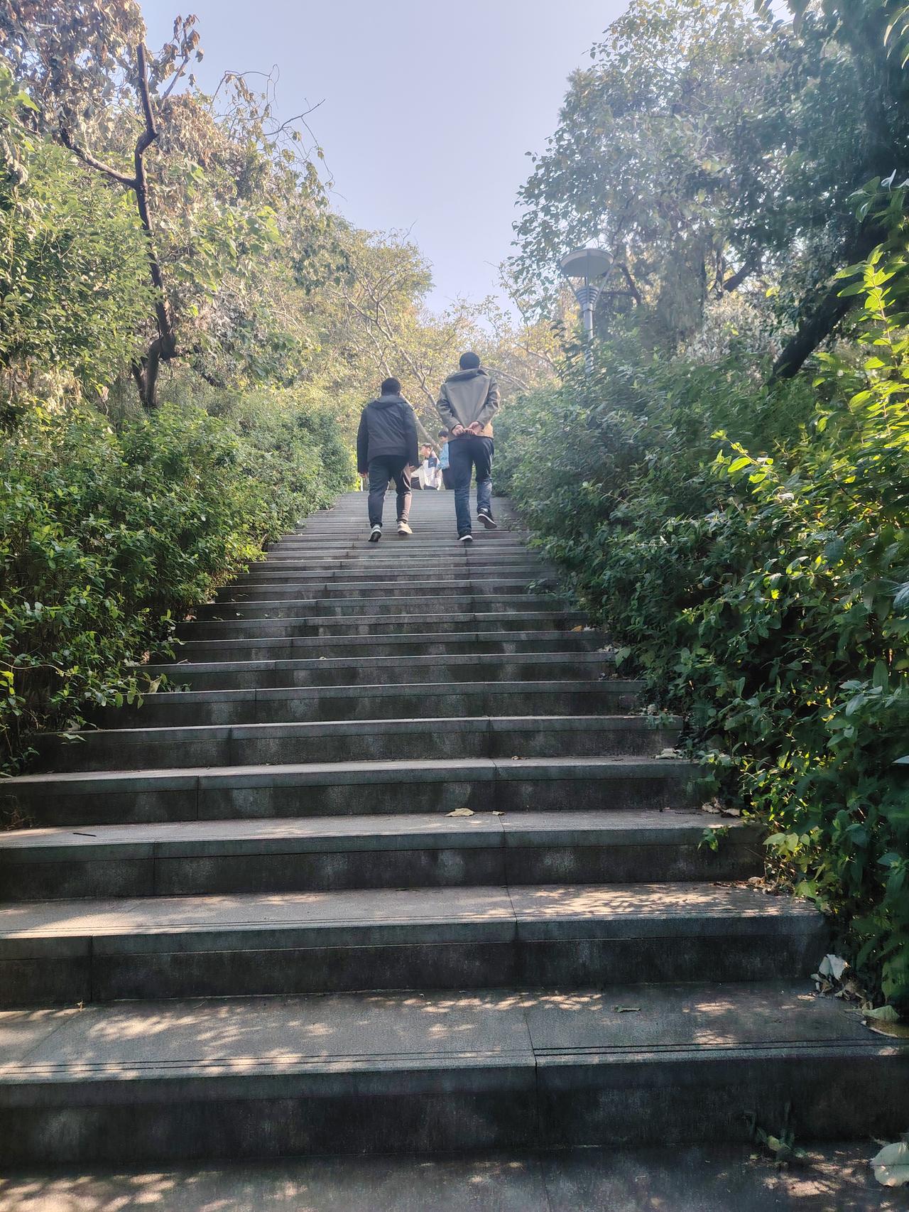 何山公园漫记
 
晨雾如纱，轻笼着何山公园的轮廓。青石板路蜿蜒向上，两侧的香樟枝