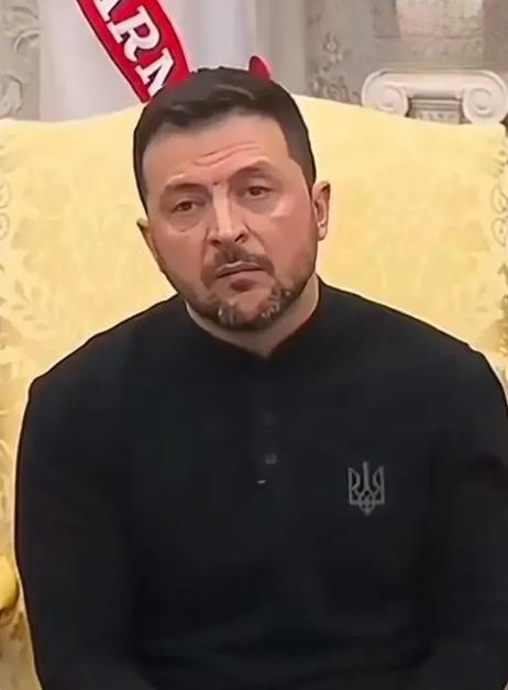 泽连斯基称美对其施压，这背后满是无奈。2026年2月17日俄美乌三方日内瓦会谈时