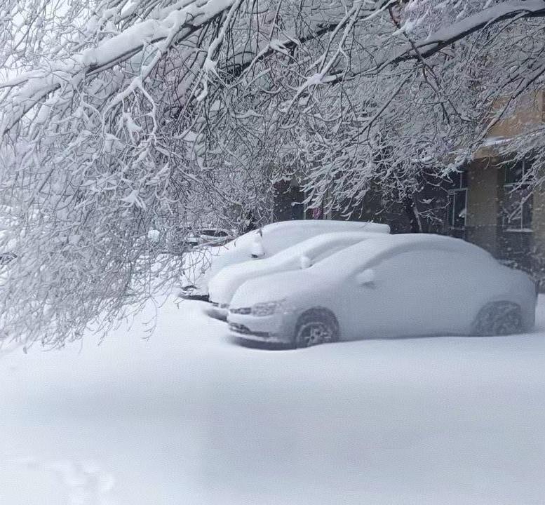 乌鲁木齐又下雪了

当我唱着那冬天的歌，
谁在在轻声附和。

远处有个熟悉的声音