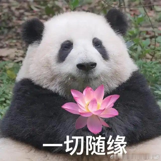 多地对国企近亲繁殖出手了垄断企业不就是垄断市场和岗位的么？娘胎带来的原罪，破解不