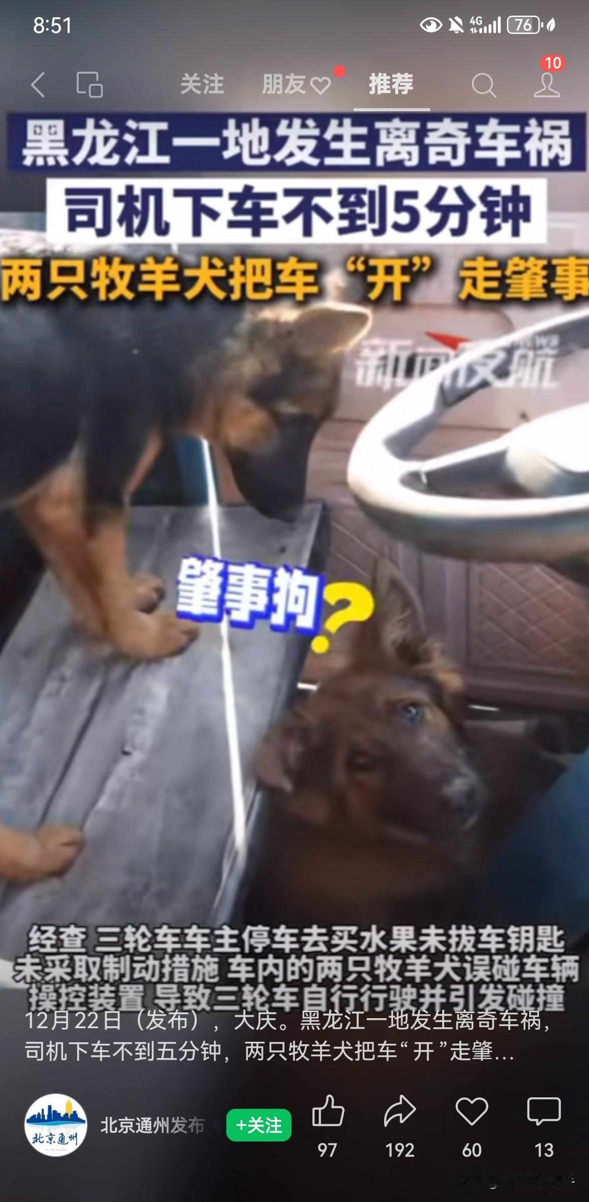 12月22日，大庆出了一个让人啼笑皆非的事情。
三轮车停路边，自家两只狗子把车开