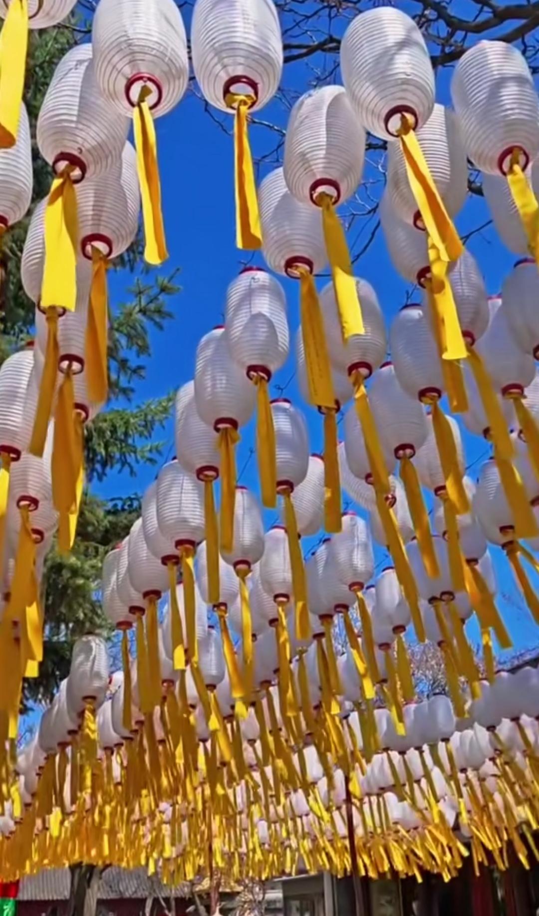 具体地点我就不说了，网上都是公开可以搜到的！

没必要大惊小怪，这也不是一天两天