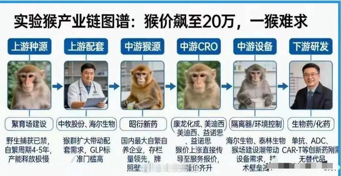近日，实验猴再现涨价潮，有行业人士表示，当前市场上的实验猴售价整体处于上涨阶段，