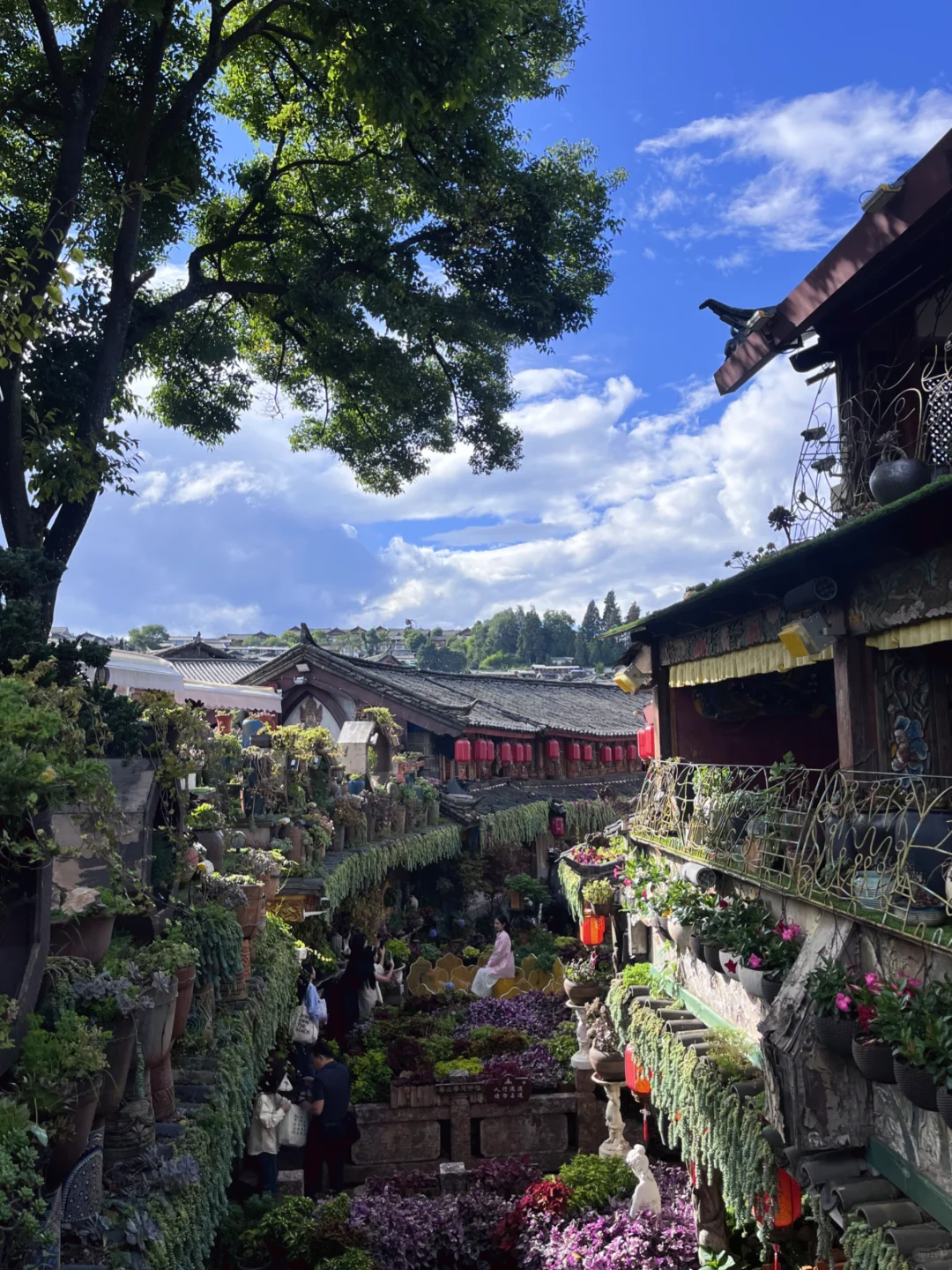 🏠来丽江住我家，免费接机✈️接站