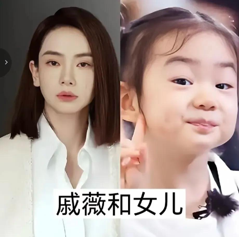 明星母女颜值对比，强大的基因藏都藏不住。
 
都说女儿大多会复刻妈妈的长相，看完