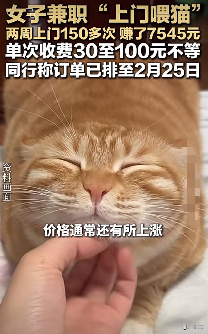 厉害了！女孩子兼职上门喂猫，两个星期怒入接近万元！据说订单都排到春节年后了！
真