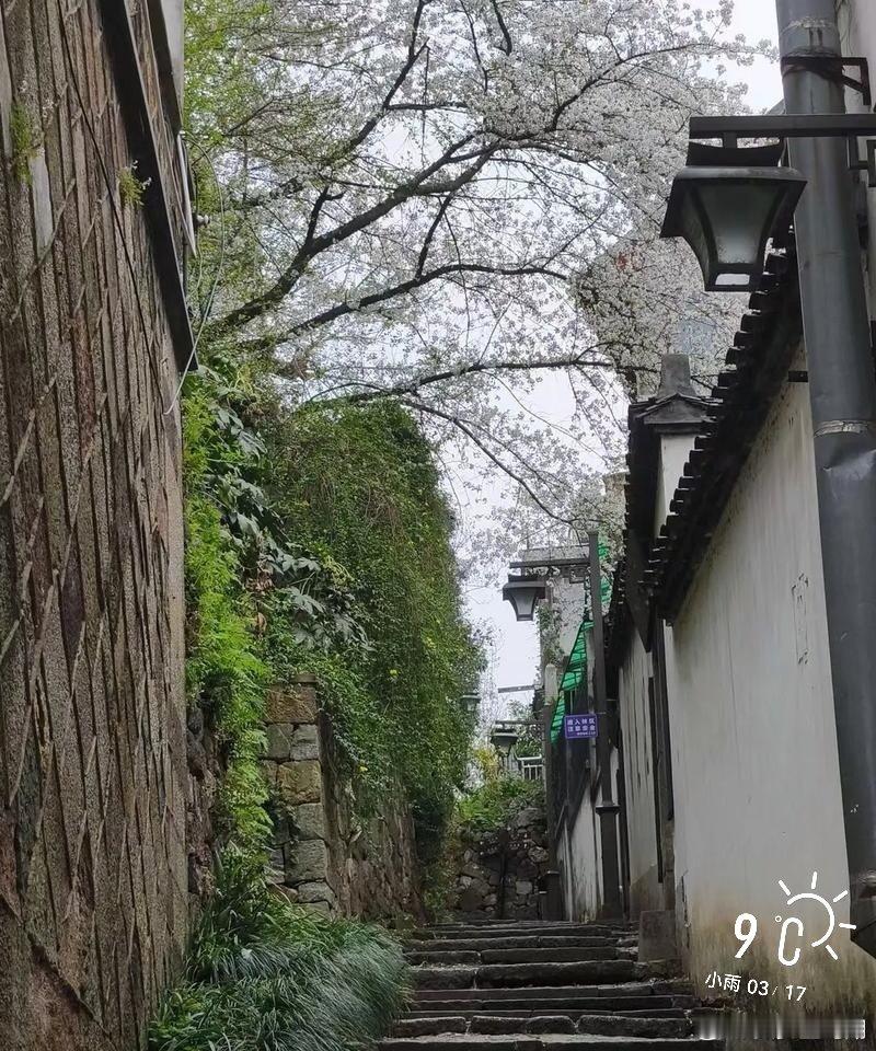 早安        出行遇阴雨天……     