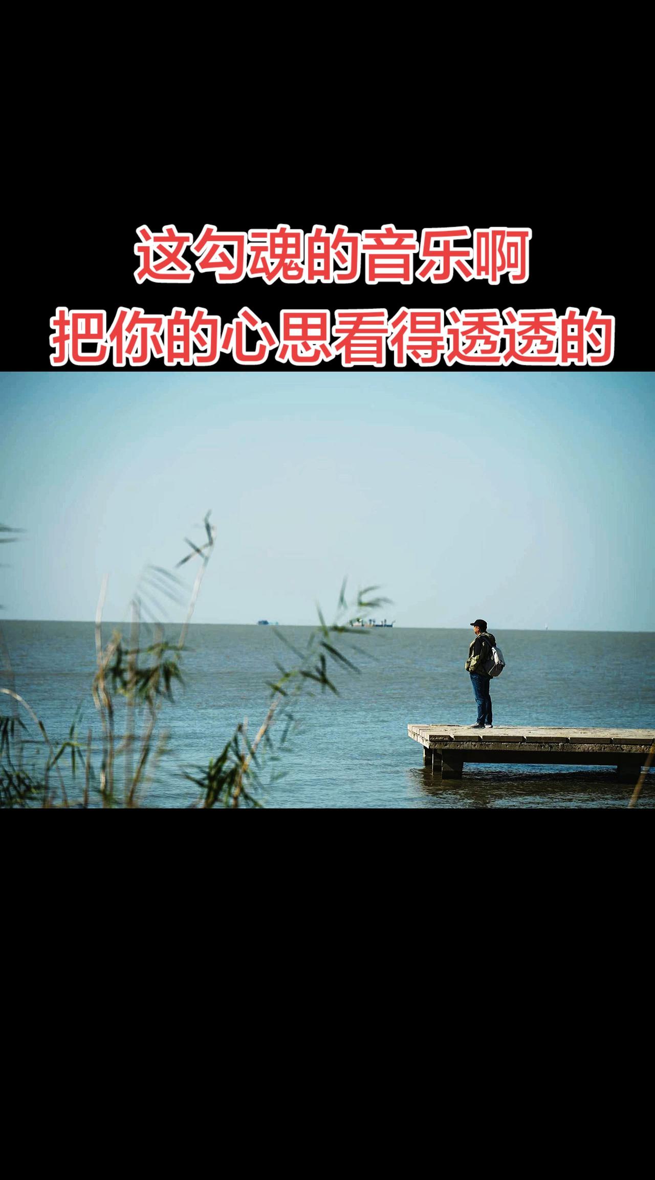 很欣赏下面这段话：无人兜底的人生和强势的性格，造就了我看起来什么都可以。  于是