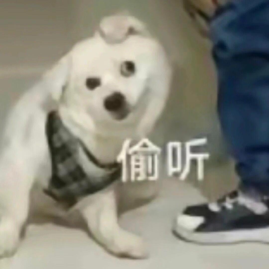 很完蛋的一件事，我之所以会去吃百家饭就是为了防止自己陷入信息茧房，但是我现在发现