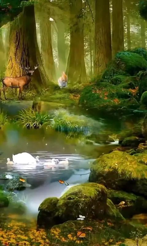 想睡个好觉，让心静下来很重要。现在生活节奏快，压力大，睡前很难快速放松。我有个小