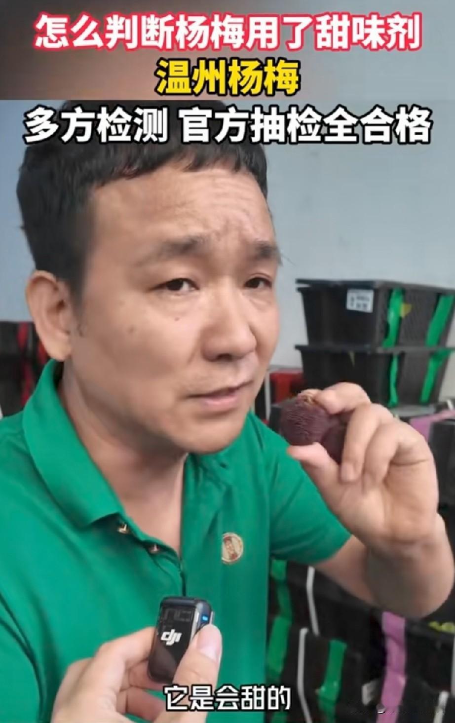 700年的浮宫杨梅口碑，这个夏天“走”了！最伤心的人不是那些黑心收购商，也不是坐