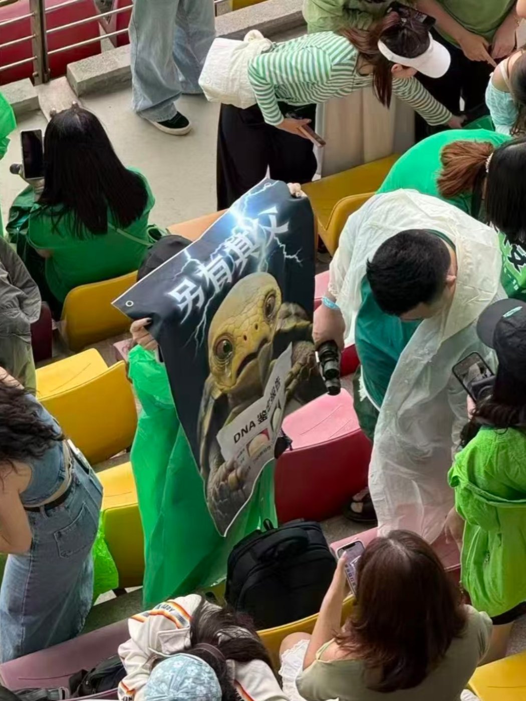 笑不活了 ​​​