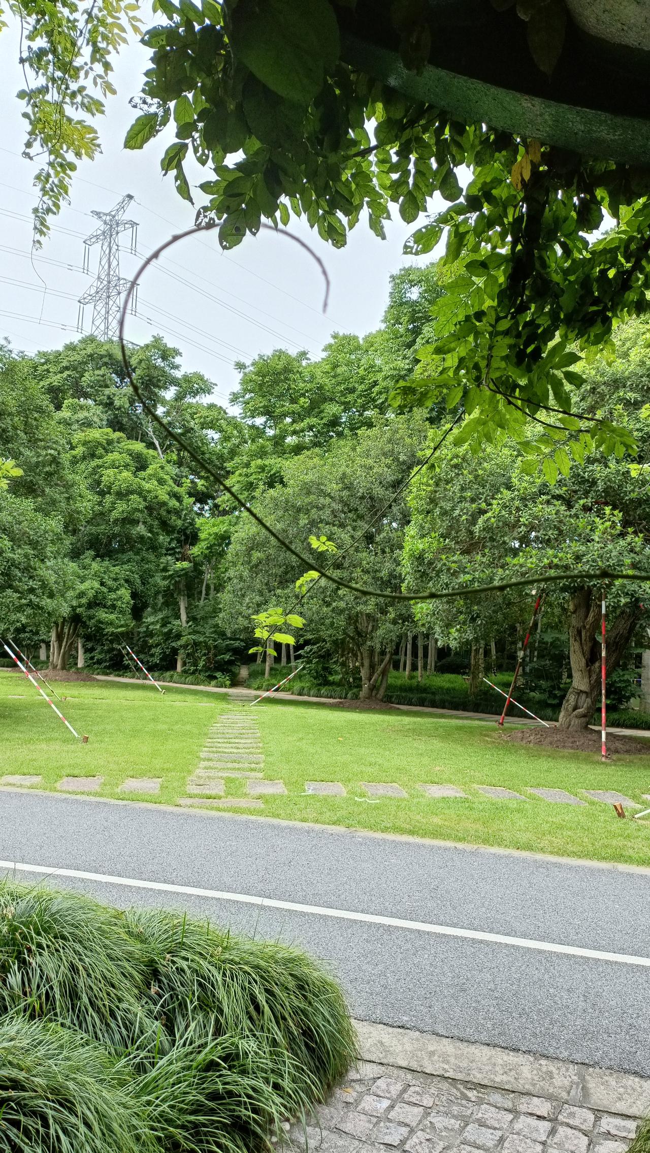 绿意盎然的公园小径，静谧而美好。🌿🍃🌳
上联:绿树阴中见，
下联:芳草径边