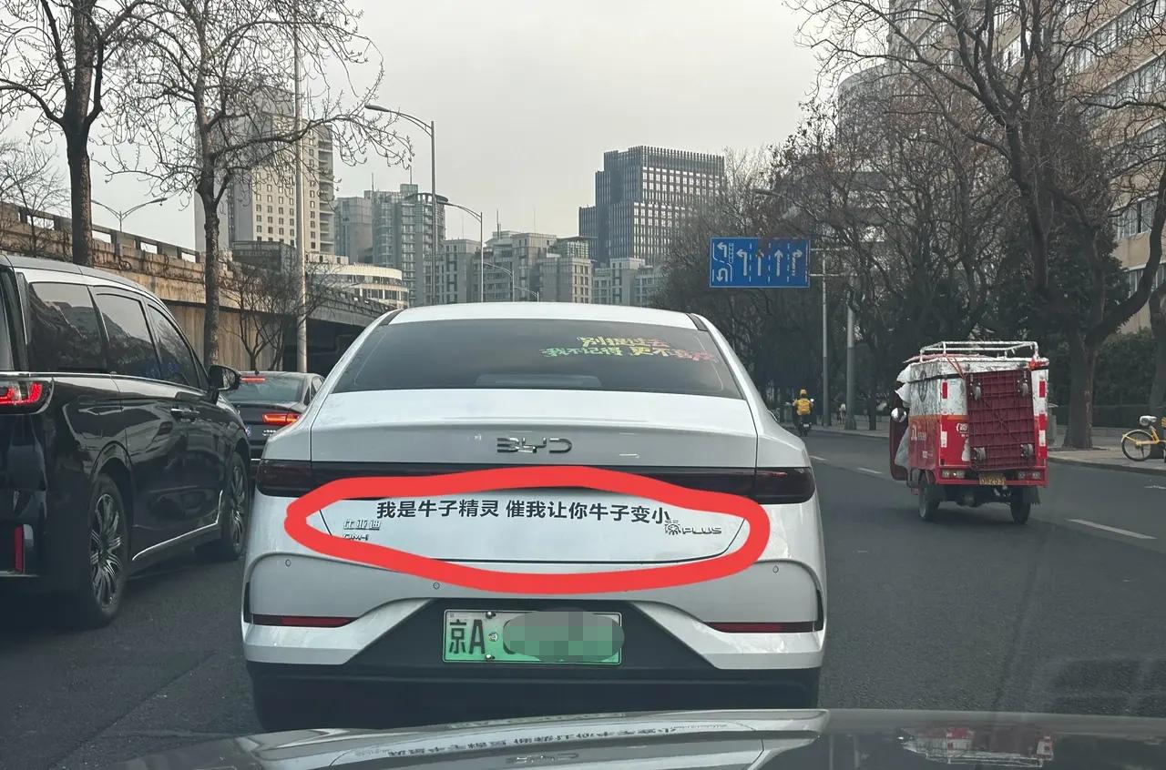 让你别跟，你再跟着，后果自负啊！