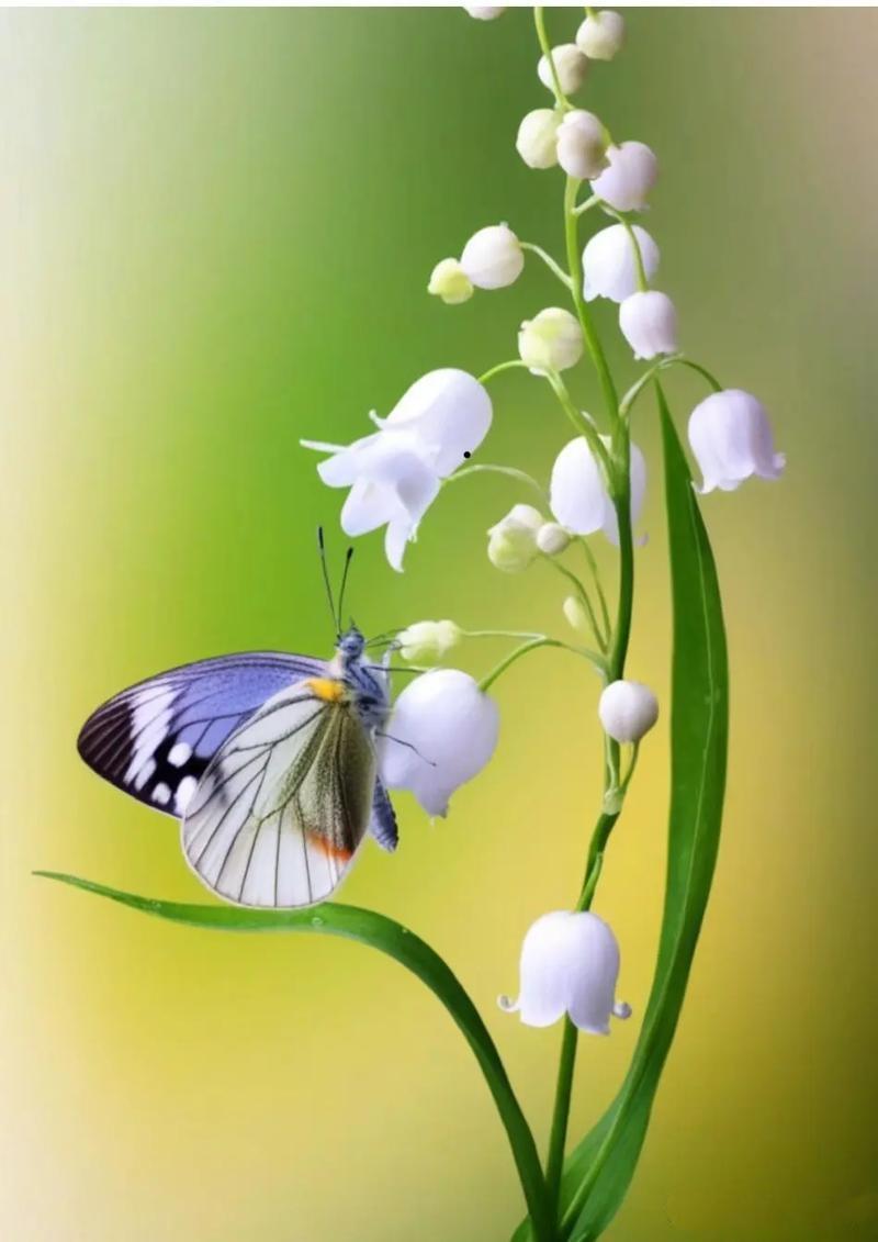 父母一定要把这十句话告诉孩子，终生受益

1. 孩子，记住了，天大的事儿也别一个