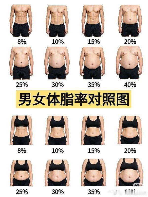 体脂率对照图，看看你体脂率多少 