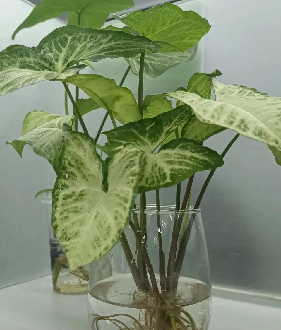 有没有跟我一样负债的80后~我是89年的，零七年开始接触信用卡、花呗、借呗直到去