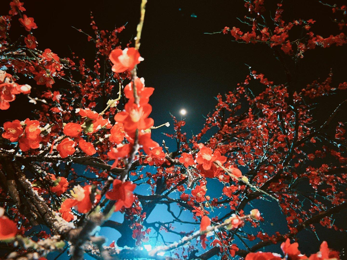 辛云来明月录剧组胶卷照辛云来分享剧组胶卷照辛云来明月录胶卷照太有氛围感，温柔眼神