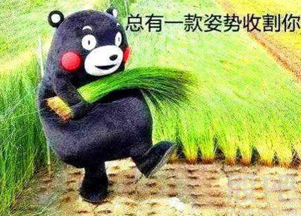 转融通为什么这么难取消？转融通出借股票是否合法呢？
转融通出借股票背后的逻辑终于