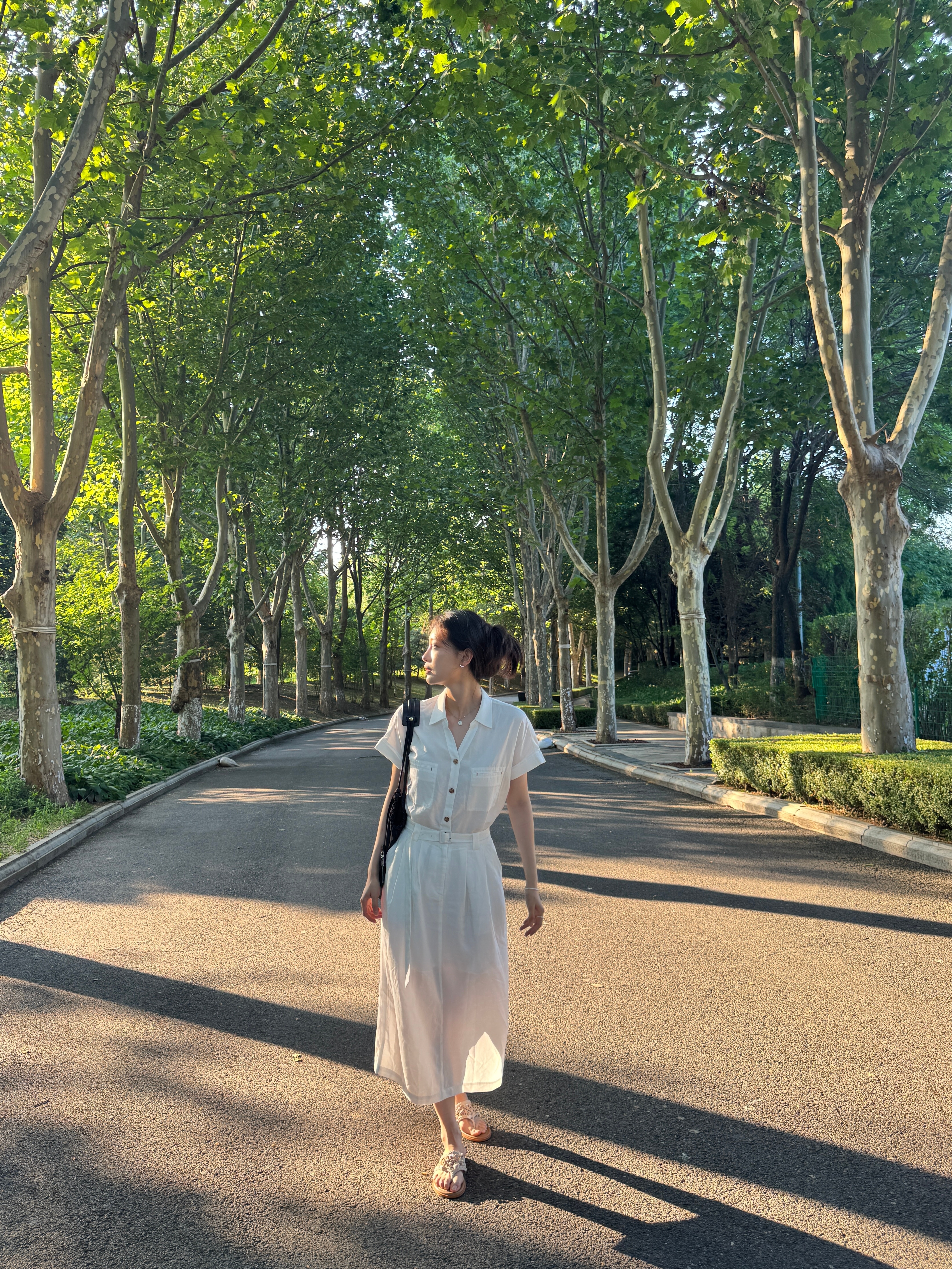 田依桐 🍃 夏日户外碎片 