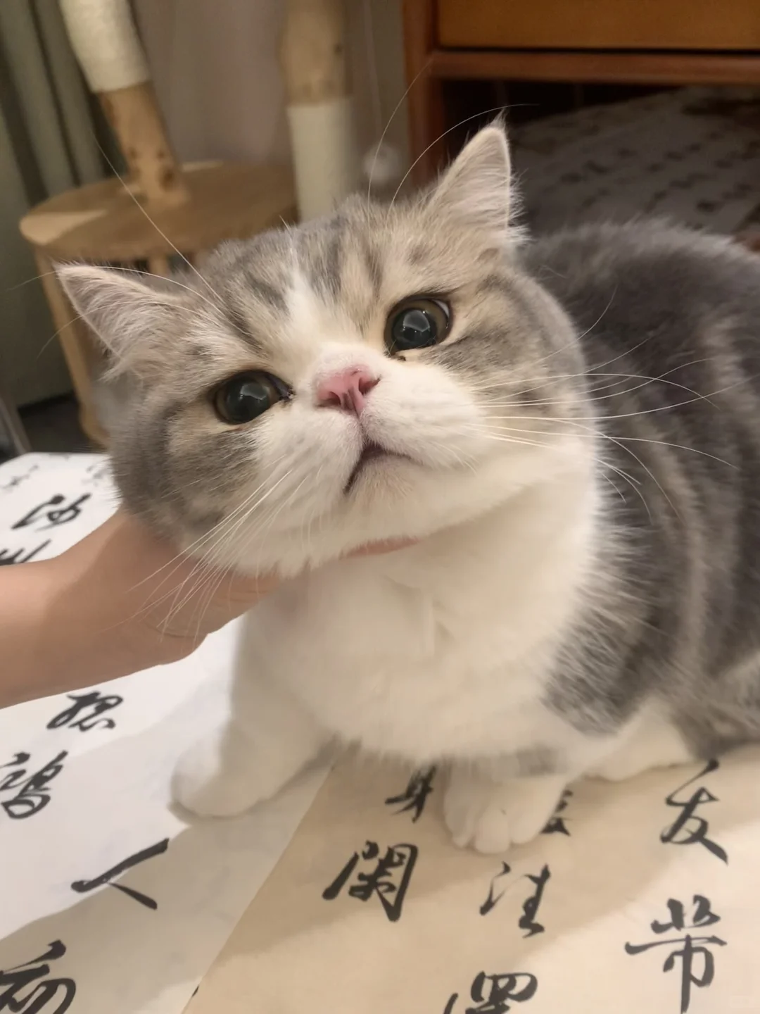 要不要揍他？