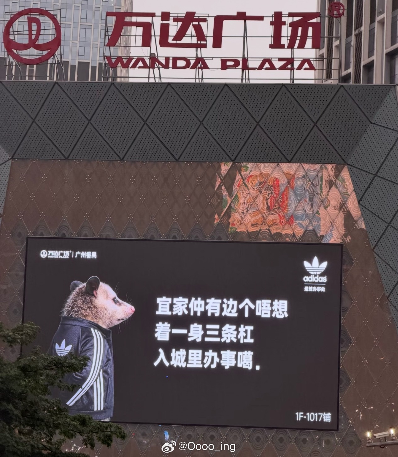 阿迪达斯品牌全线代言人李现 真有意思