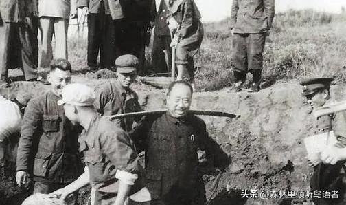 1950年，一名来自湘西麻阳的普通农民，前往北京寻找素未谋面的亲生父亲。一路辗转