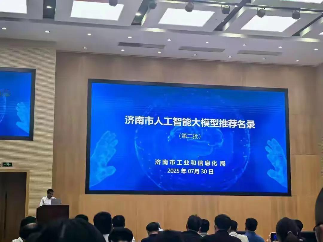 济南厉害了，推出了180个大模型产品。


要知道即使强如北京上海，其大模型数量